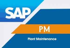 balc academy,sap courses in bangalore, sap training in bangalore,sap institute in bangalore,sap training institute in bangalore