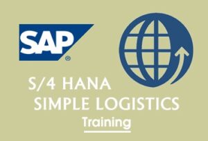 balc academy,sap courses in bangalore, sap training in bangalore,sap institute in bangalore,sap training institute in bangalore