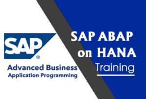balc academy,sap courses in bangalore, sap training in bangalore,sap institute in bangalore,sap training institute in bangalore