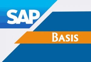 balc academy,sap courses in bangalore, sap training in bangalore,sap institute in bangalore,sap training institute in bangalore