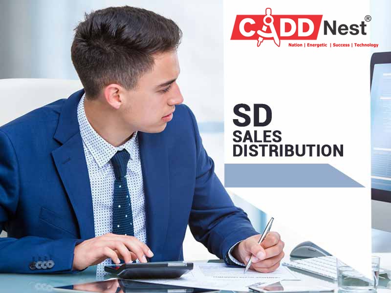 cadd nest academy,sap courses in bangalore, sap training in bangalore,sap institute in bangalore,sap training institute in bangalore,SAP FICO,SAP SD,SAP,MM,SAP PP